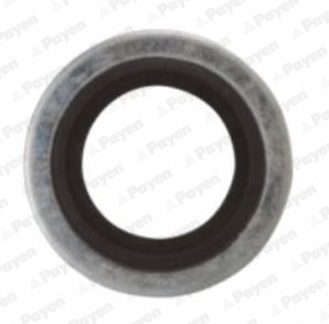 4044197135752 | Seal Ring, oil drain plug PAYEN KG5012