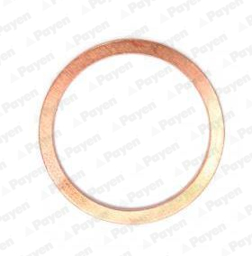 4060426259808 | Seal Ring, oil drain plug PAYEN KJ854