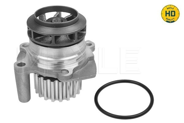 4040074193730 | Water Pump, engine cooling MEYLE 113 220 0021/HD