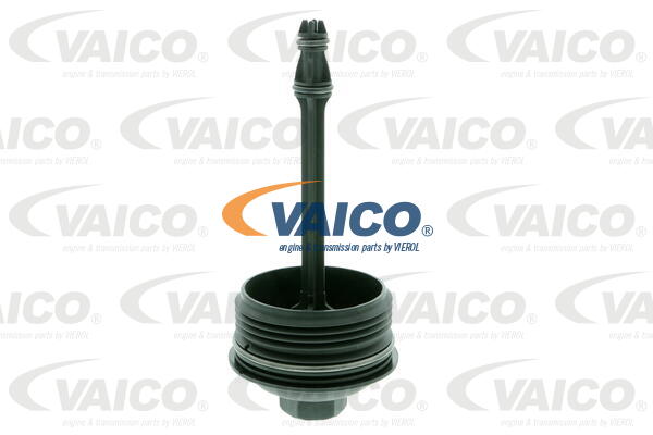 4046001632761 | Cap, oil filter housing VAICO V10-3162