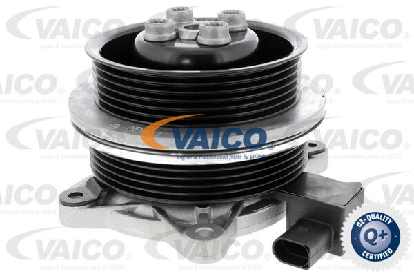 4046001417528 | Water Pump, engine cooling VAICO V10-50065