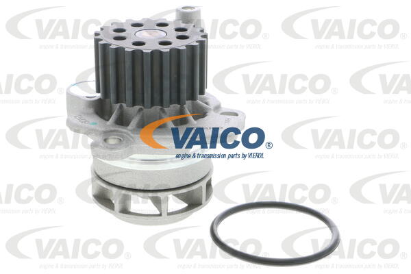 4046001662430 | Water Pump, engine cooling VAICO V10-50073-1