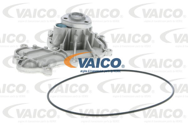 4046001603297 | Water Pump, engine cooling VAICO V10-50079