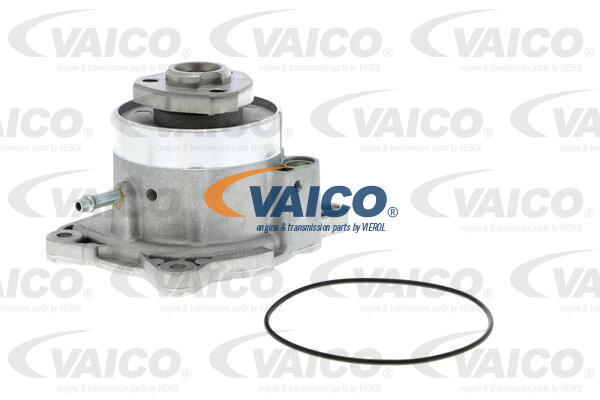 4046001633430 | Water Pump, engine cooling VAICO V10-50081