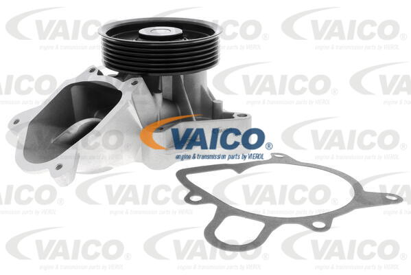 4046001854996 | Water Pump, engine cooling VAICO V20-50061