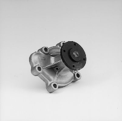 4250093403134 | Water Pump, engine cooling HEPU P313