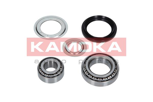 5908242693033 | Wheel Bearing Kit KAMOKA 5600039