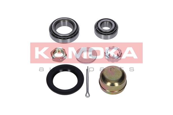 5908242693651 | Wheel Bearing Kit KAMOKA 5600073