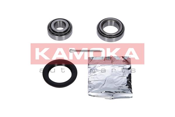 5908242693750 | Wheel Bearing Kit KAMOKA 5600078