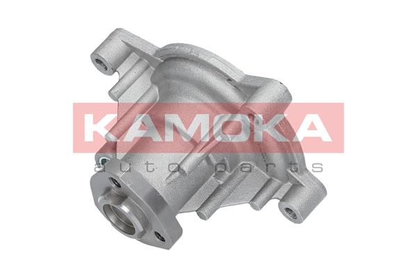 5901779824208 | Water Pump, engine cooling KAMOKA T0021