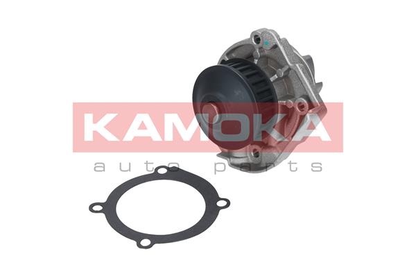 5901779825175 | Water Pump, engine cooling KAMOKA T0118
