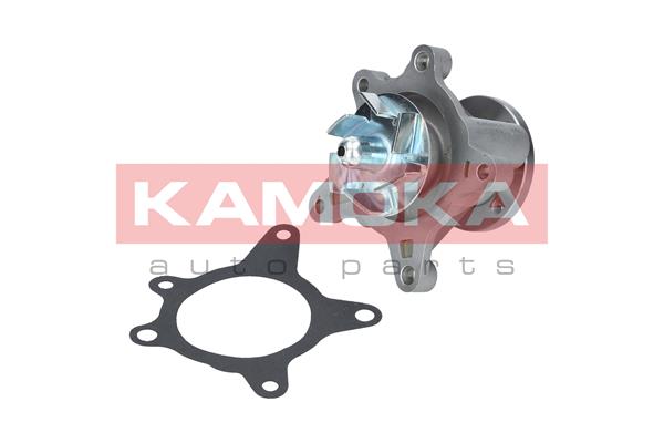 5901779825625 | Water Pump, engine cooling KAMOKA T0163
