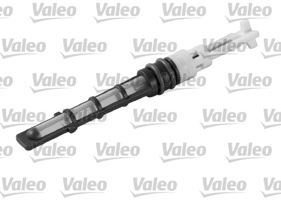 3276425089655 | Injector Nozzle, expansion valve VALEO 508965