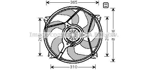 4045385086467 | Fan, radiator AVA QUALITY COOLING cn7531