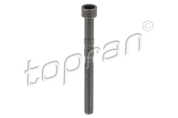 Bolt, rocker arm shaft TOPRAN 119 150