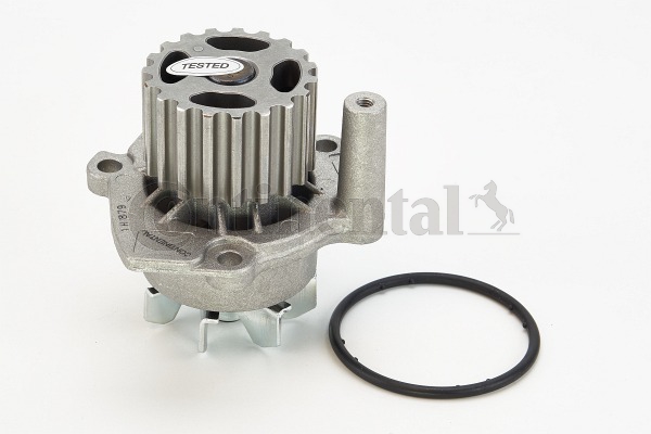 4010858062255 | Water Pump, engine cooling CONTINENTAL CTAM WP6001