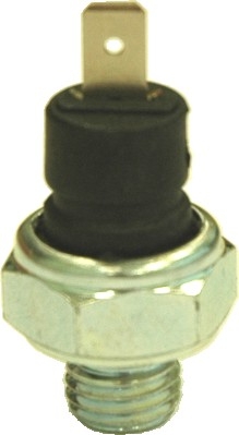 Oil Pressure Switch HOFFER 7532034