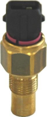 Temperature Switch, coolant warning lamp HOFFER 7472612