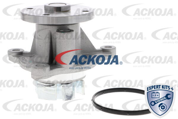 4062375036547 | Water Pump, engine cooling ACKOJA A53-50010
