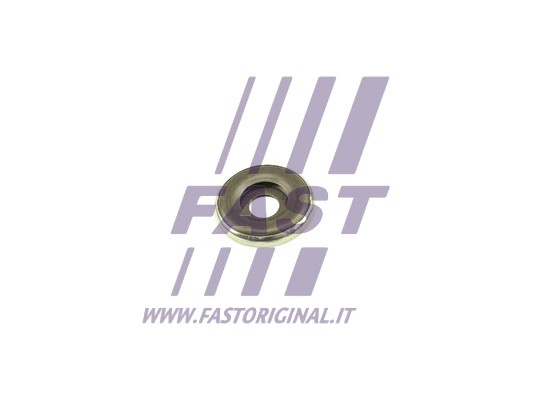 5901797086091 | Rolling Bearing, suspension strut support mount FAST FT12129