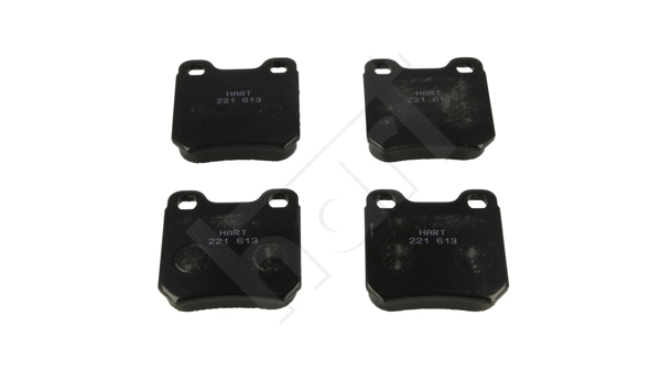 5907643007999 | Brake Pad Set, disc brake HART 221 613