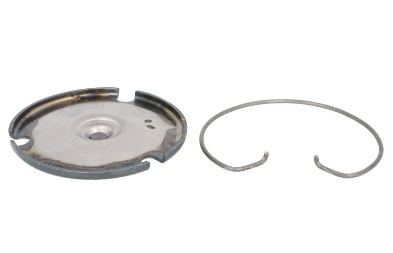 4013872830619 | Release Plate, clutch SACHS 3100 654 003