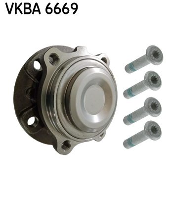 7316575221003 | Wheel Bearing Kit SKF VKBA 6669