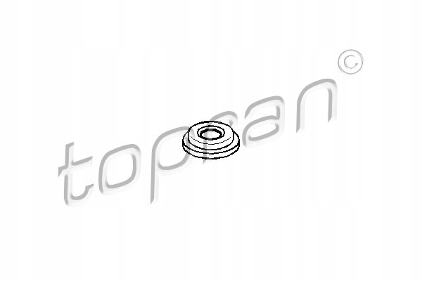 Heat Shield, injection system TOPRAN 206 270