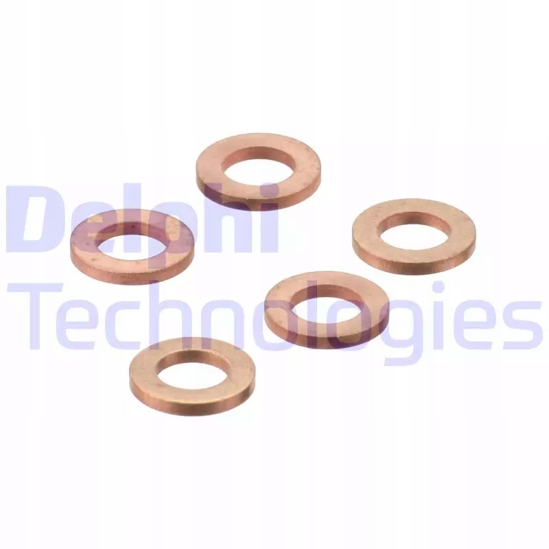 5050100119206 | Seal Ring, injector DELPHI 9001-850J