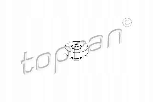 Seal Ring, cylinder head cover bolt TOPRAN 100 546